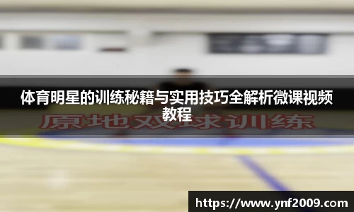 优游国际官网注册