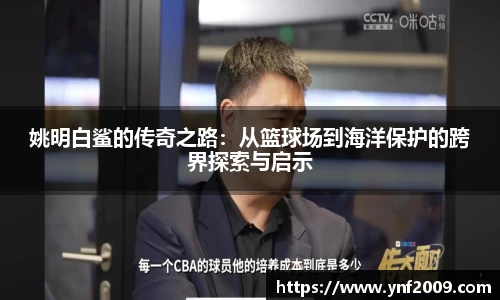 优游国际注册