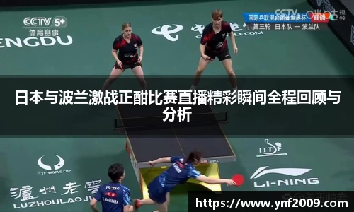 优游国际