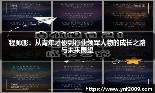 程帅澎：从青年才俊到行业领军人物的成长之路与未来展望