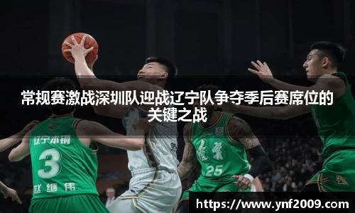 常规赛激战深圳队迎战辽宁队争夺季后赛席位的关键之战